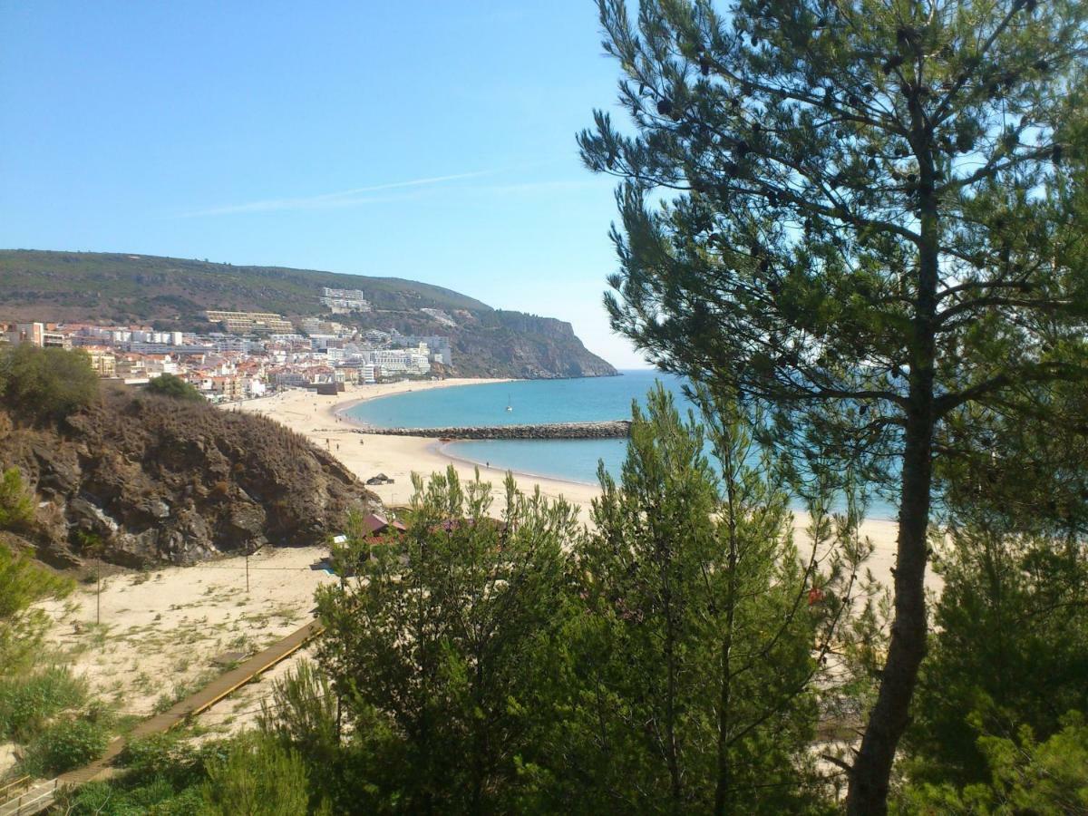 Amazing Beach & Pool Apartment With Garden Sesimbra Dış mekan fotoğraf