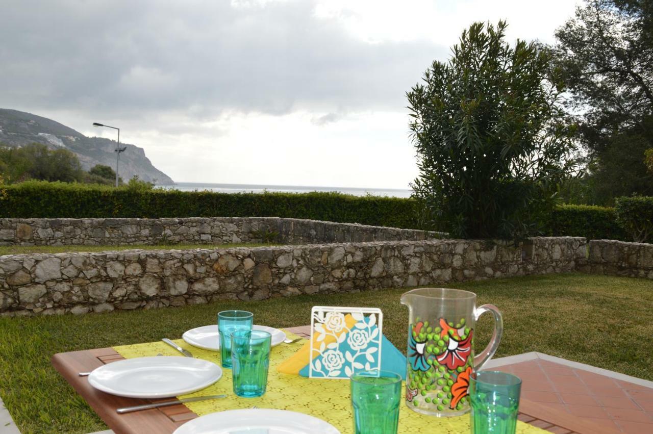 Amazing Beach & Pool Apartment With Garden Sesimbra Dış mekan fotoğraf